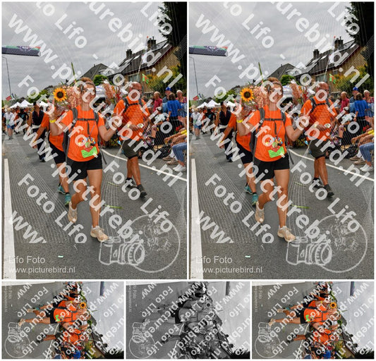 Evenement foto: Nijmeegse Vierdaagse 1143