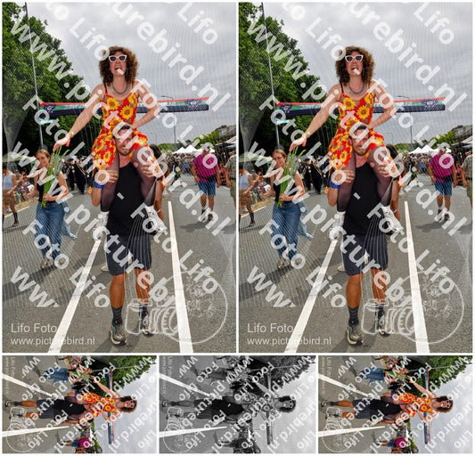 Evenement foto: Nijmeegse Vierdaagse 1143