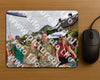 Evenement foto: Nijmeegse Vierdaagse 1143
