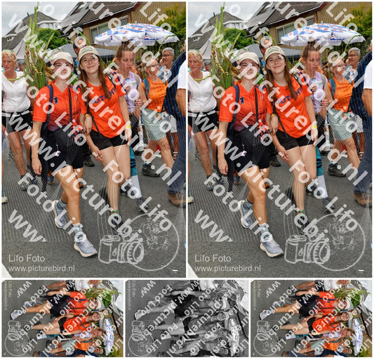Evenement foto: Nijmeegse Vierdaagse 1142