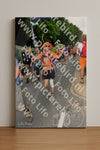 Evenement foto: Nijmeegse Vierdaagse 1142
