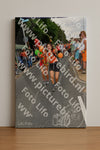 Evenement foto: Nijmeegse Vierdaagse 1142