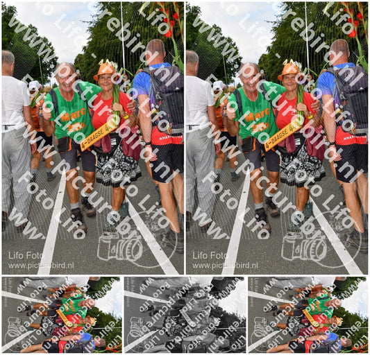Evenement foto: Nijmeegse Vierdaagse 1142