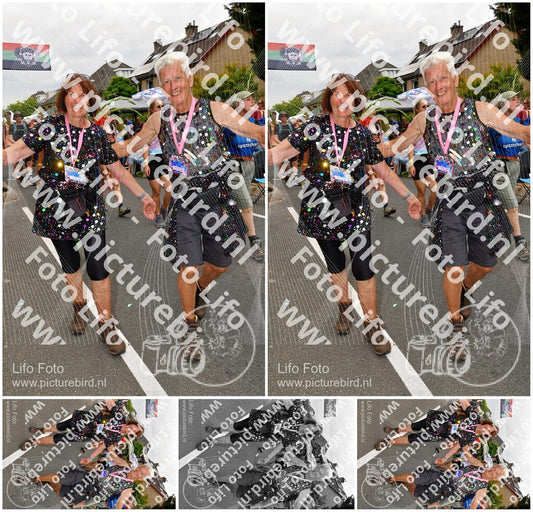 Evenement foto: Nijmeegse Vierdaagse 1142