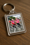 Evenement foto: Nijmeegse Vierdaagse 1142