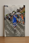 Evenement foto: Nijmeegse Vierdaagse 1142
