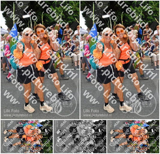Evenement foto: Nijmeegse Vierdaagse 1142