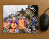 Evenement foto: Nijmeegse Vierdaagse 1142