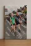 Evenement foto: Nijmeegse Vierdaagse 1142