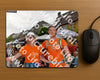 Evenement foto: Nijmeegse Vierdaagse 1141