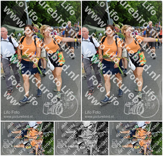Evenement foto: Nijmeegse Vierdaagse 1141