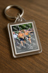 Evenement foto: Nijmeegse Vierdaagse 1141