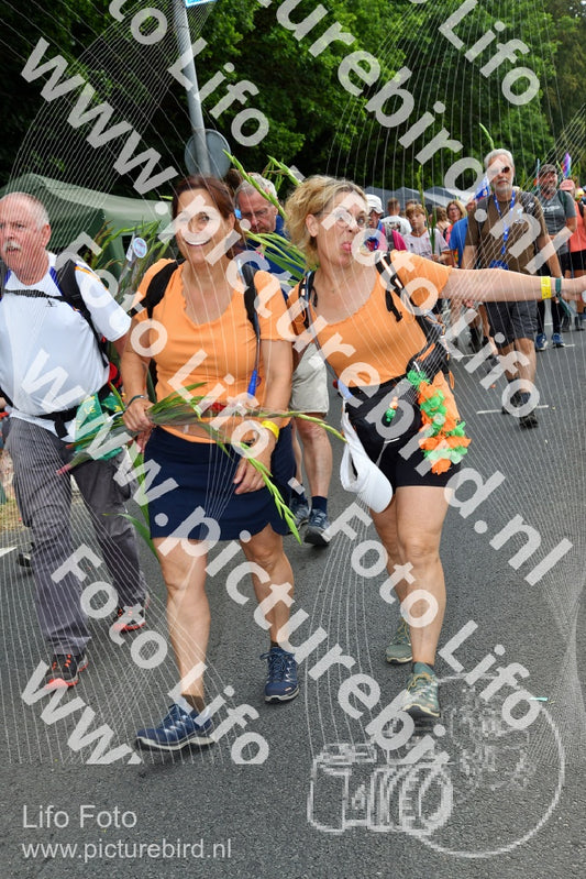 Evenement foto: Nijmeegse Vierdaagse 1141
