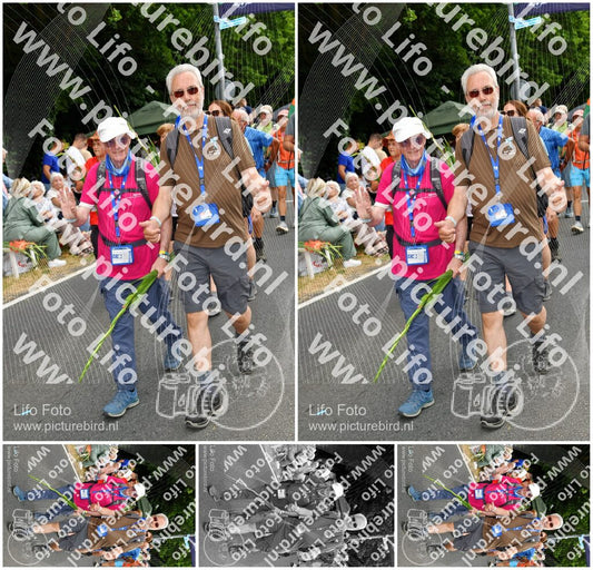 Evenement foto: Nijmeegse Vierdaagse 1141