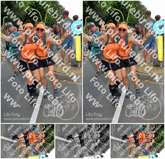 Evenement foto: Nijmeegse Vierdaagse 1141