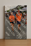 Evenement foto: Nijmeegse Vierdaagse 1141