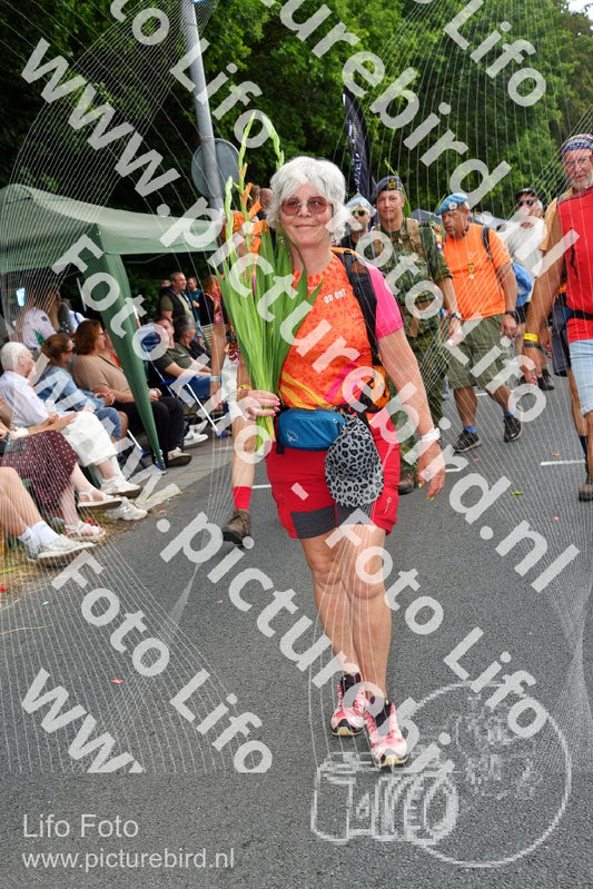 Evenement foto: Nijmeegse Vierdaagse 1141