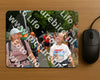Evenement foto: Nijmeegse Vierdaagse 1141