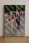 Evenement foto: Nijmeegse Vierdaagse 1141