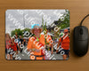 Evenement foto: Nijmeegse Vierdaagse 1140