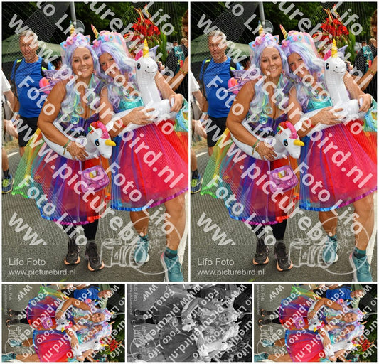 Evenement foto: Nijmeegse Vierdaagse 1140