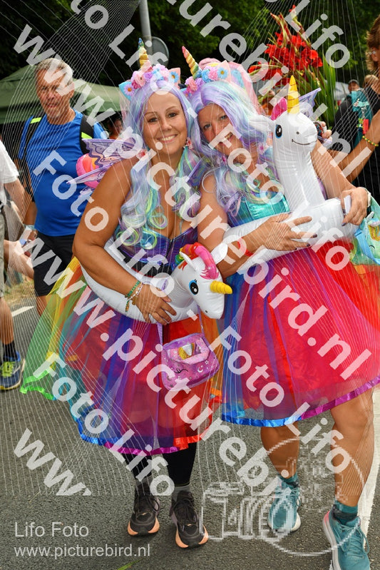 Evenement foto: Nijmeegse Vierdaagse 1140