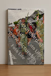 Evenement foto: Nijmeegse Vierdaagse 1140