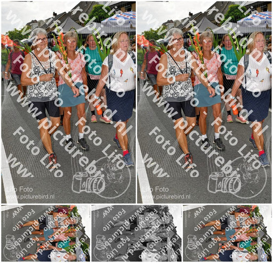 Evenement foto: Nijmeegse Vierdaagse 1140