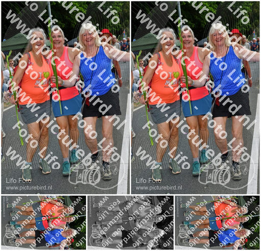 Evenement foto: Nijmeegse Vierdaagse 1140