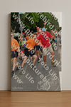 Evenement foto: Nijmeegse Vierdaagse 1140