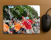Evenement foto: Nijmeegse Vierdaagse 1140