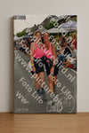 Evenement foto: Nijmeegse Vierdaagse 1140