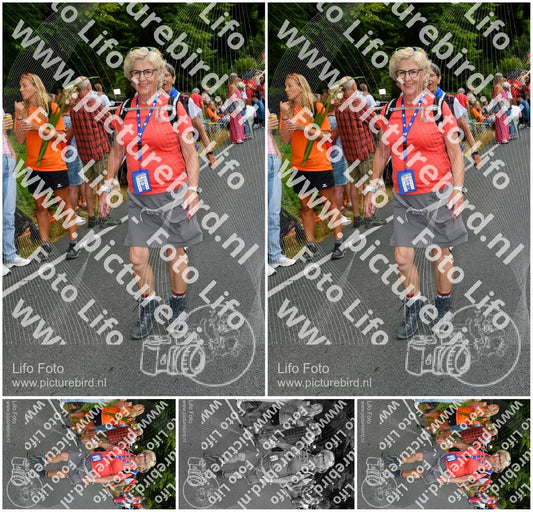 Evenement foto: Nijmeegse Vierdaagse 1139