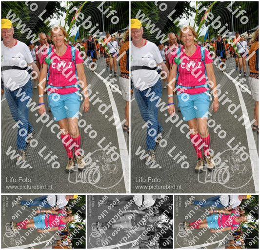 Evenement foto: Nijmeegse Vierdaagse 1139