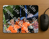 Evenement foto: Nijmeegse Vierdaagse 1139