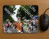 Evenement foto: Nijmeegse Vierdaagse 1139