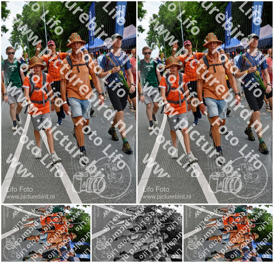 Evenement foto: Nijmeegse Vierdaagse 1139