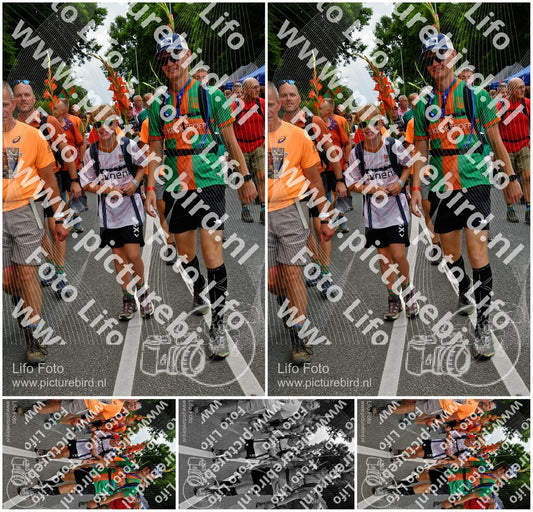 Evenement foto: Nijmeegse Vierdaagse 1139