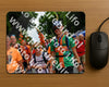 Evenement foto: Nijmeegse Vierdaagse 1139
