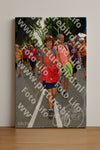 Evenement foto: Nijmeegse Vierdaagse 1139