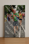 Evenement foto: Nijmeegse Vierdaagse 1139