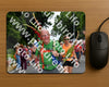 Evenement foto: Nijmeegse Vierdaagse 1139