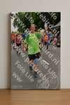 Evenement foto: Nijmeegse Vierdaagse 1139