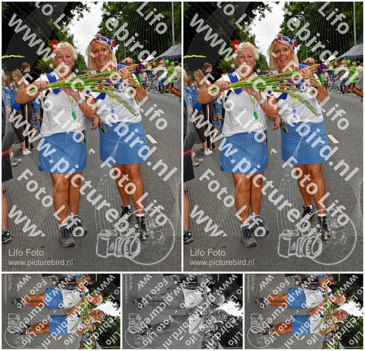 Evenement foto: Nijmeegse Vierdaagse 1139