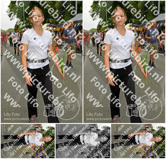 Evenement foto: Nijmeegse Vierdaagse 1139