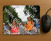 Evenement foto: Nijmeegse Vierdaagse 1139