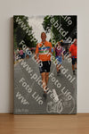 Evenement foto: Nijmeegse Vierdaagse 1139