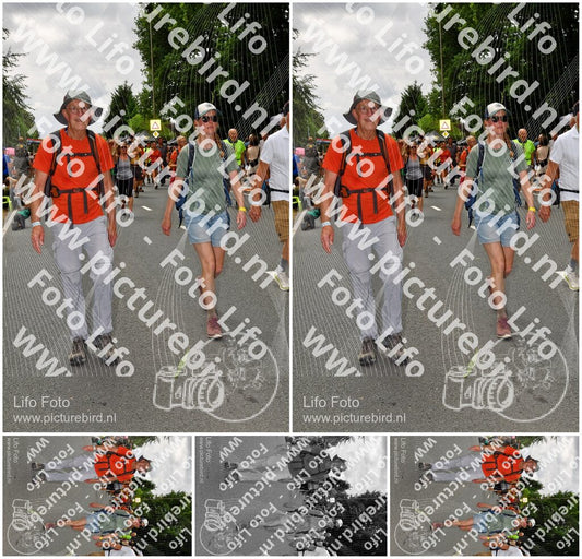 Evenement foto: Nijmeegse Vierdaagse 1139