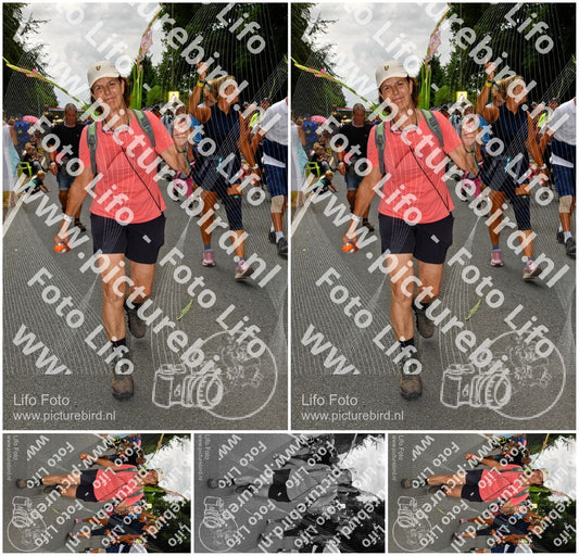 Evenement foto: Nijmeegse Vierdaagse 1139