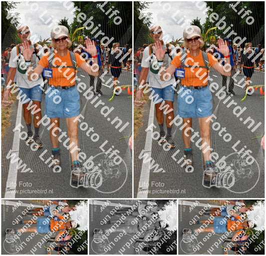 Evenement foto: Nijmeegse Vierdaagse 1139